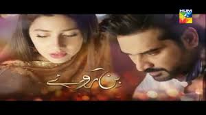 Bin Roye