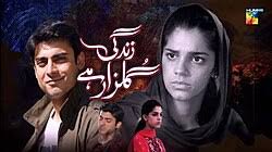 Zindagi Gulzar Hai